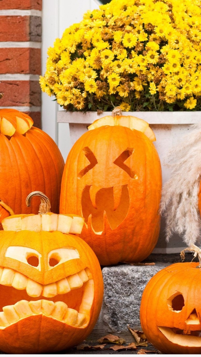 Funny Halloween Pumpkins