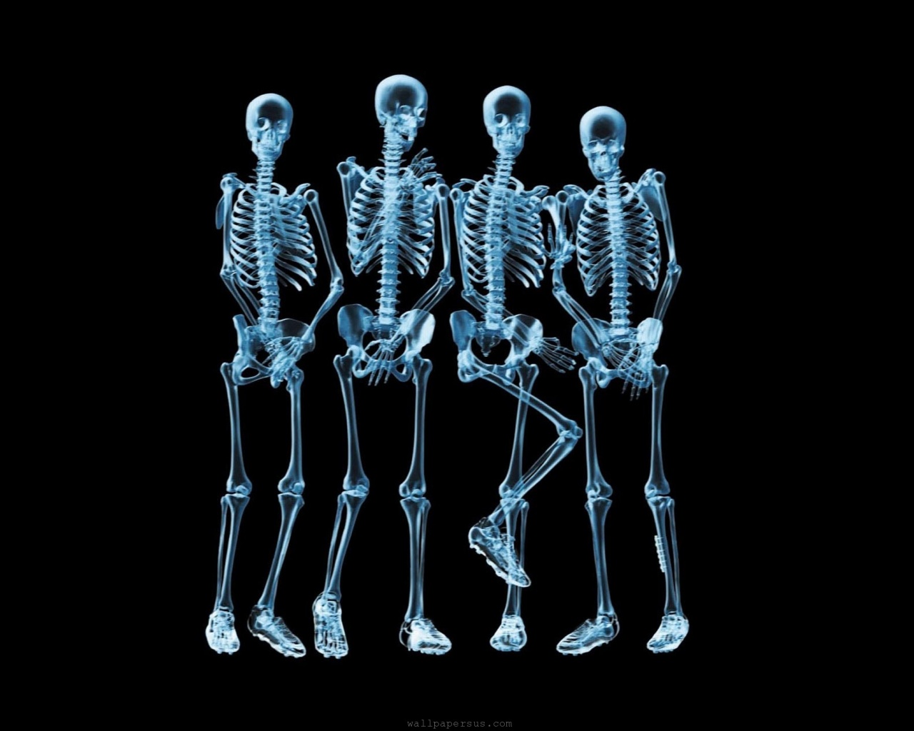 Funny Skeletons Xray