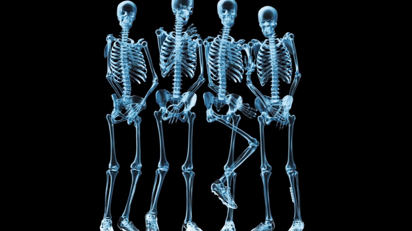 Funny Skeletons Xray