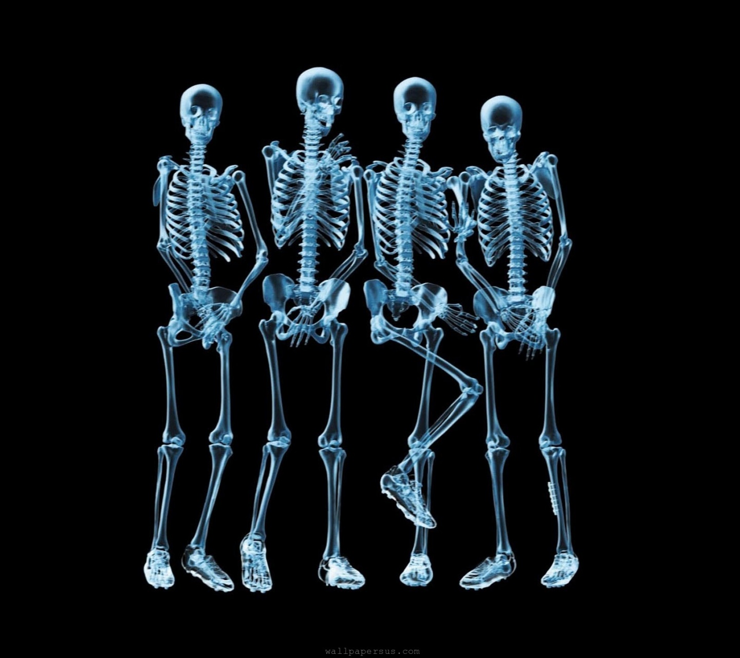 Funny Skeletons Xray