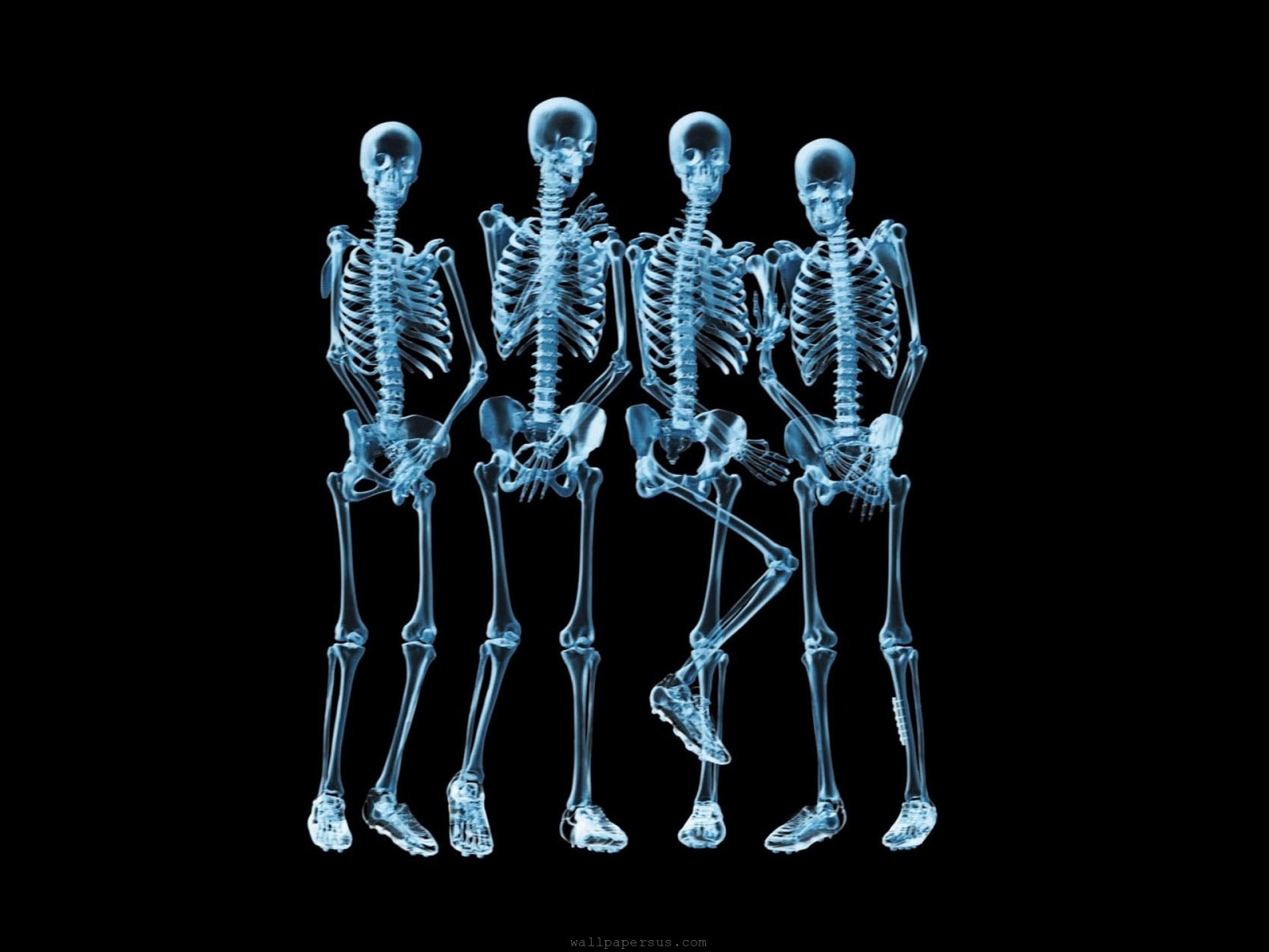 Funny Skeletons Xray