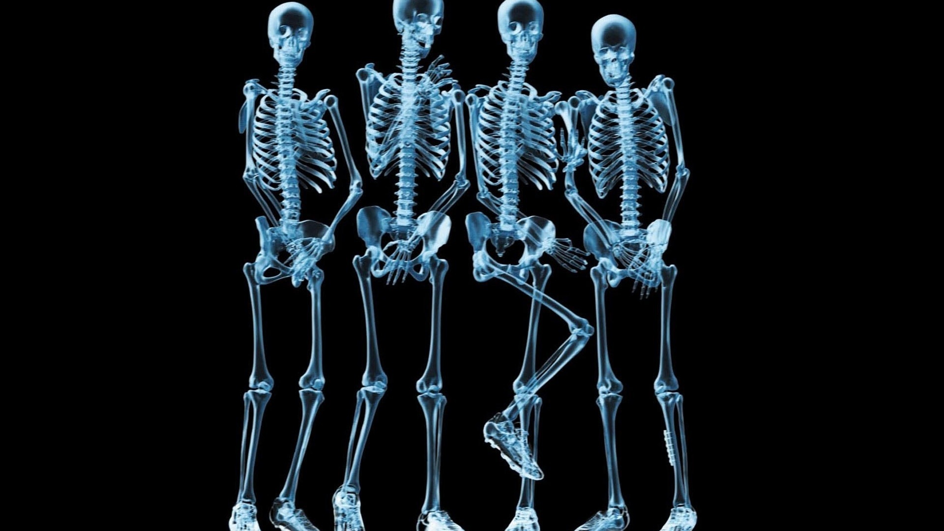 Funny Skeletons Xray