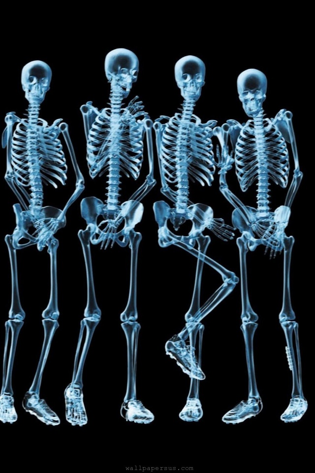 Funny Skeletons Xray