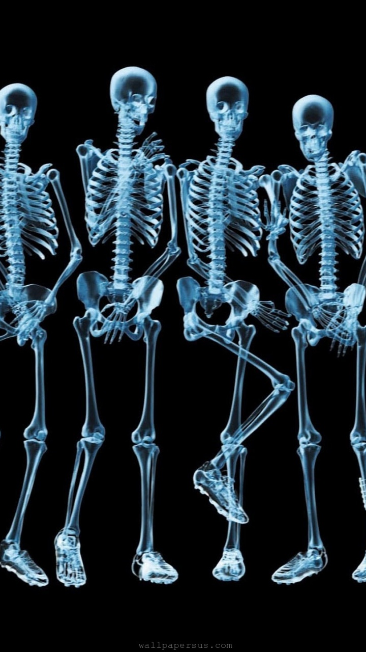 Funny Skeletons Xray