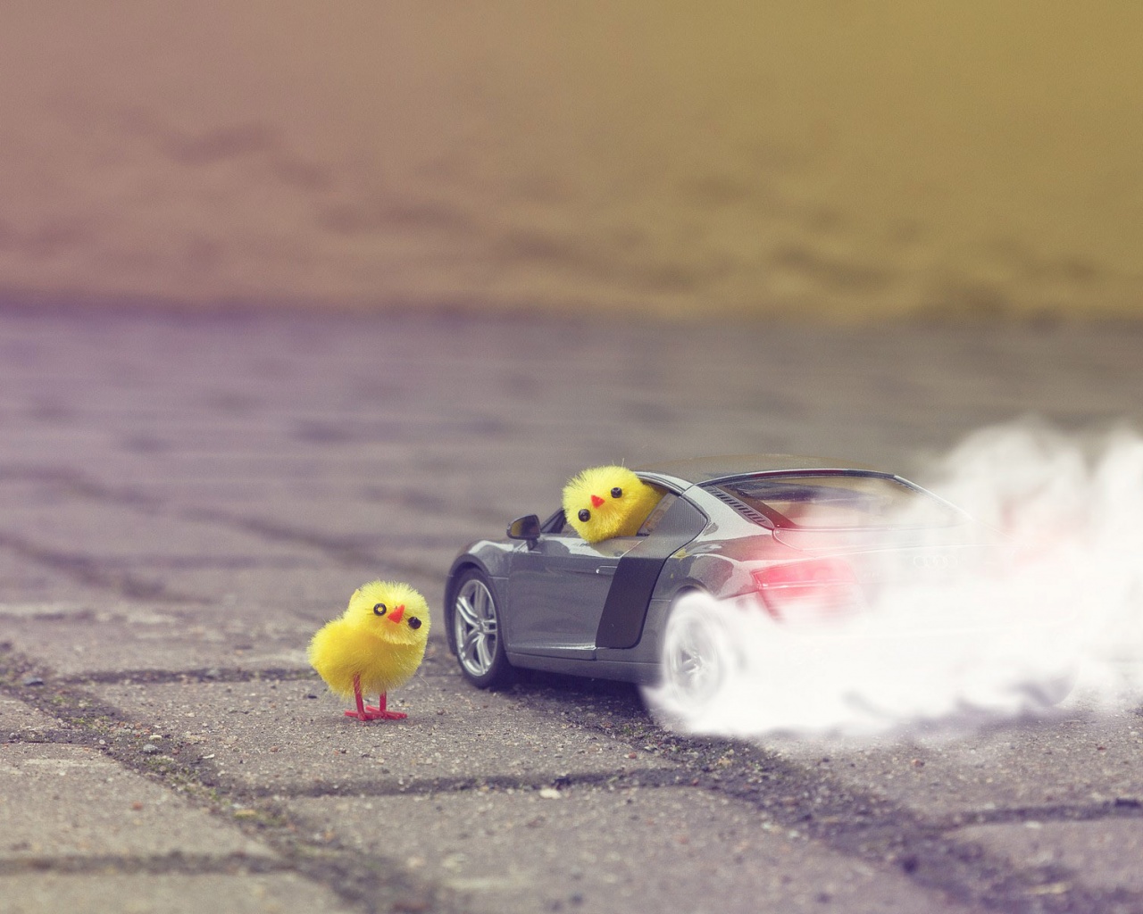 Funny Yellow Chickens In Audi R8