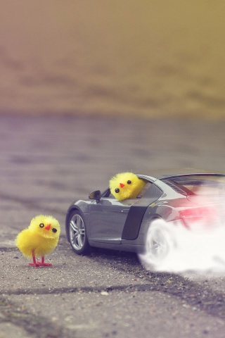 Funny Yellow Chickens In Audi R8