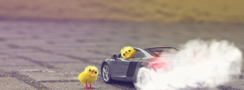 Funny Yellow Chickens In Audi R8