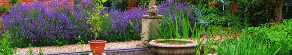 Garden At Dinham Hall Ludlow Shropshire