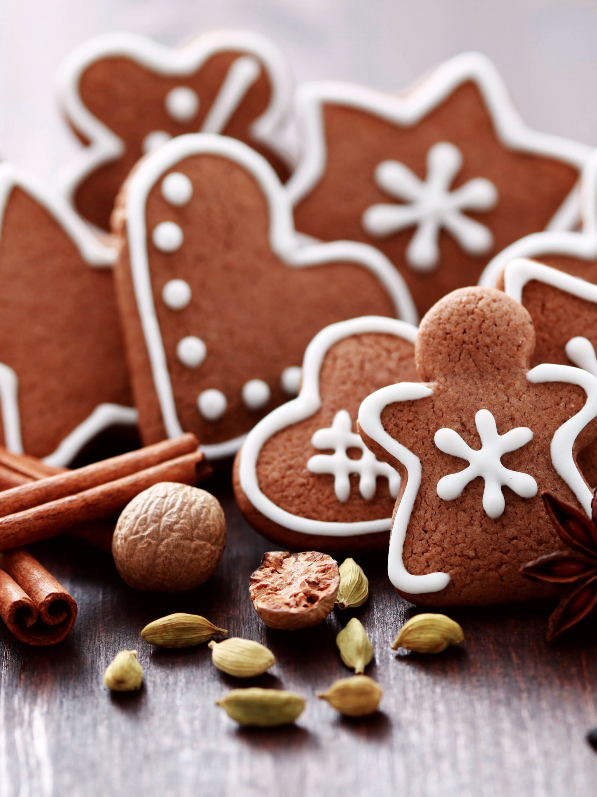 Gingerbread Figures