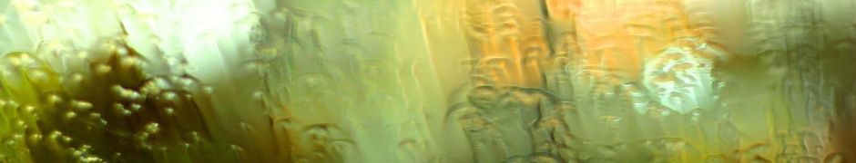 Glass Rain Machine Wipers Drops