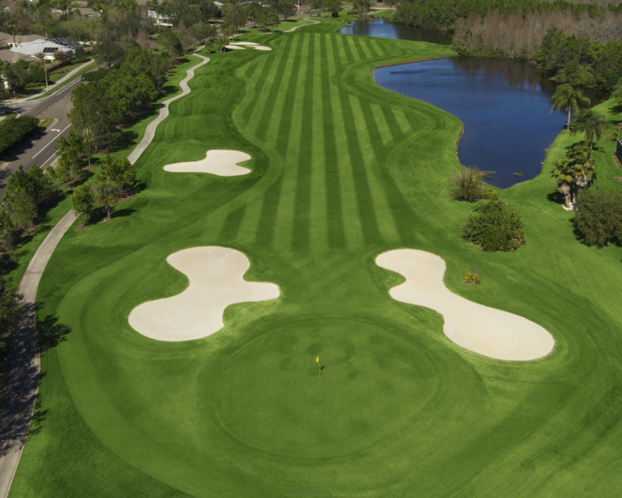 Golf Westchase Golf Club Tampa Florida