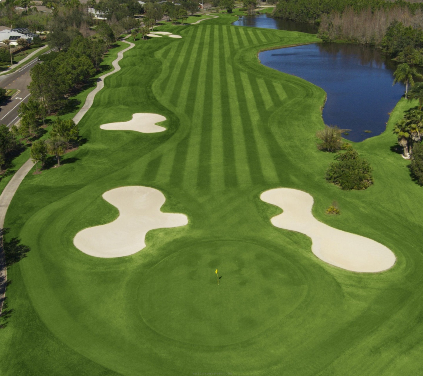 Golf Westchase Golf Club Tampa Florida