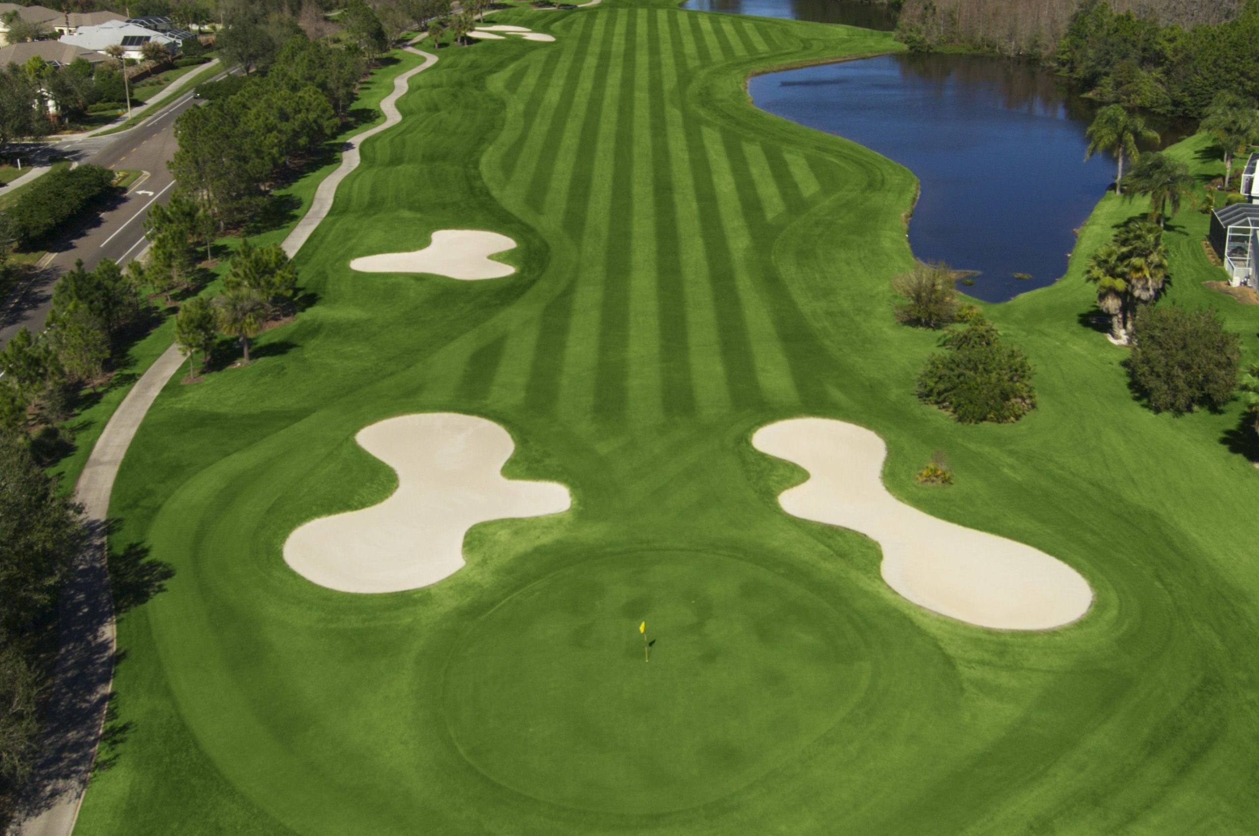 Golf Westchase Golf Club Tampa Florida