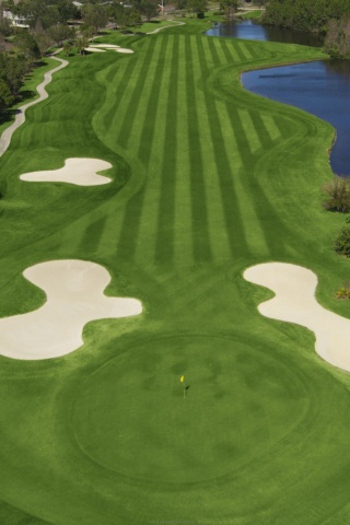 Golf Westchase Golf Club Tampa Florida