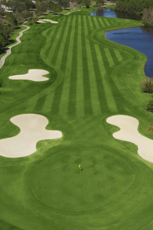 Golf Westchase Golf Club Tampa Florida