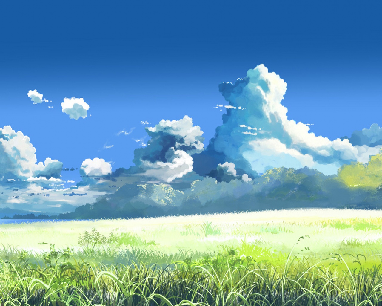 Grass Sky Clouds Sunlight Meadow 5 Centimeters Per Second