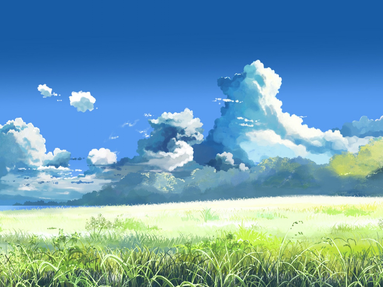 Grass Sky Clouds Sunlight Meadow 5 Centimeters Per Second