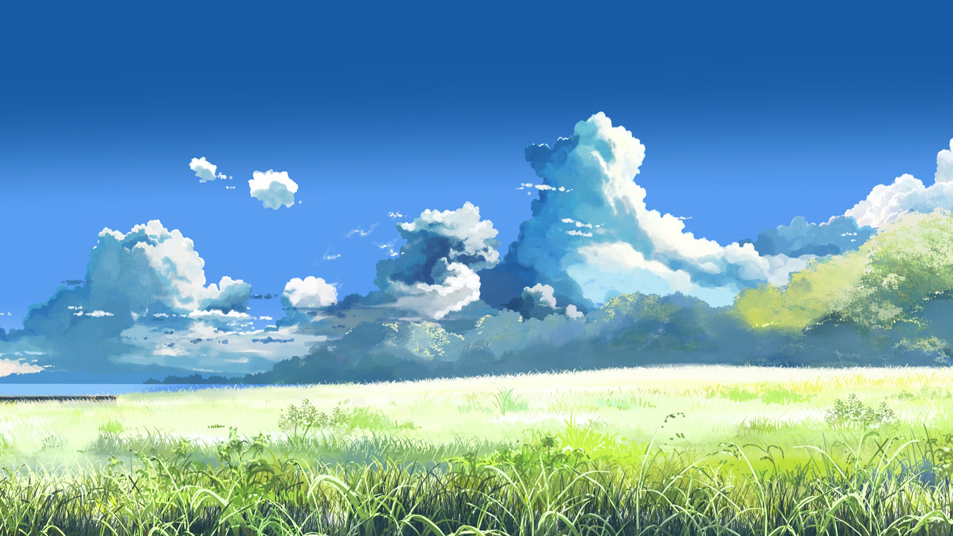 Grass Sky Clouds Sunlight Meadow 5 Centimeters Per Second