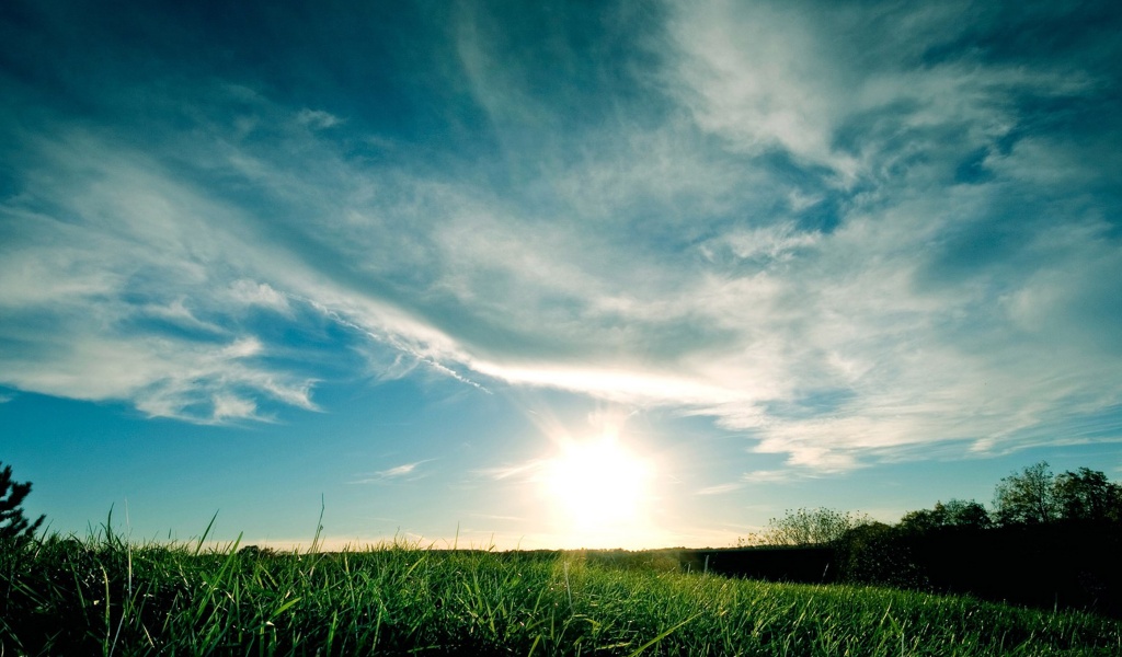 Grassy Sunset