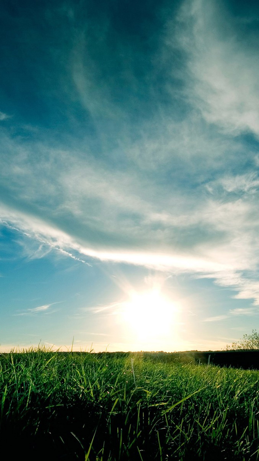 Grassy Sunset