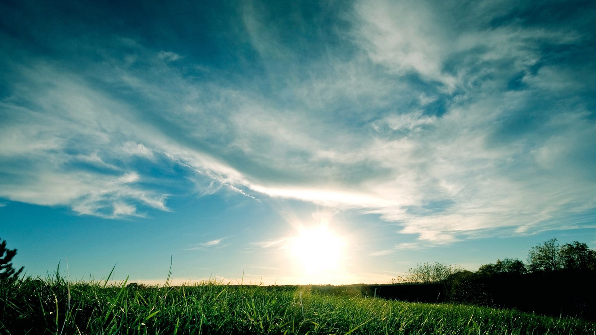 Grassy Sunset