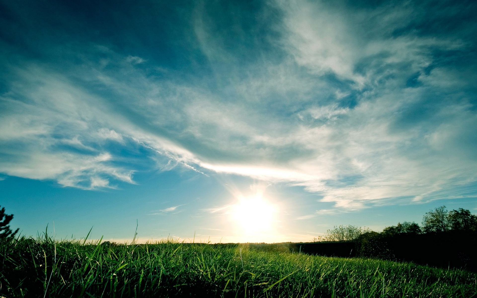 Grassy Sunset