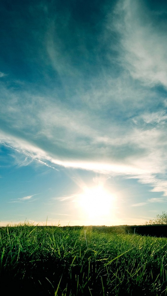 Grassy Sunset