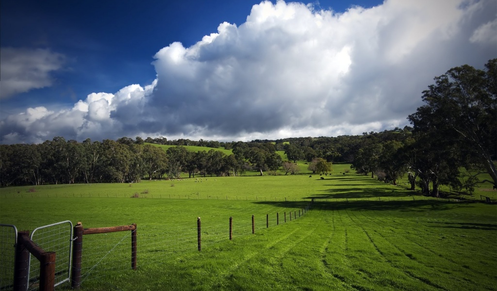 Green Hills Nature