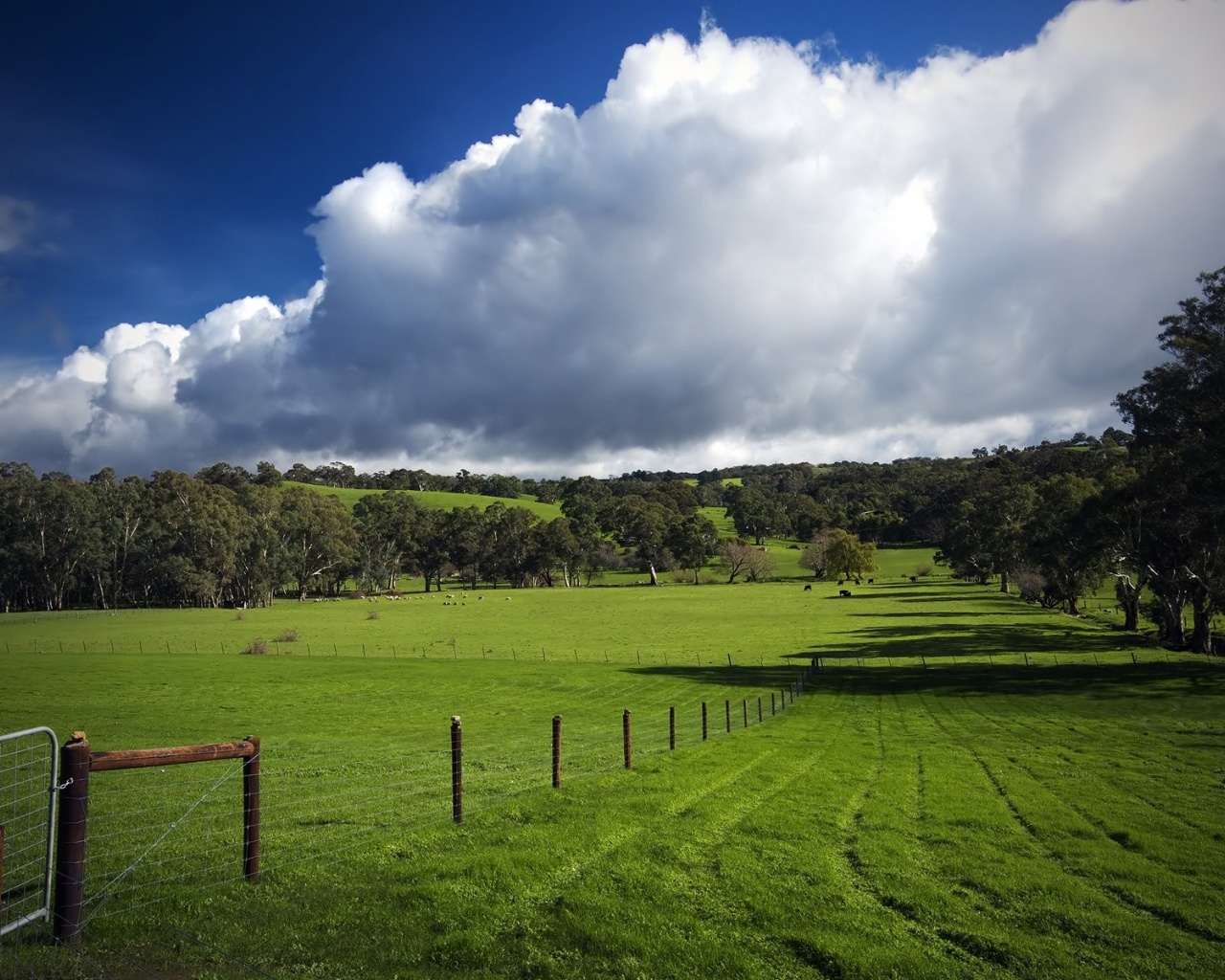 Green Hills Nature