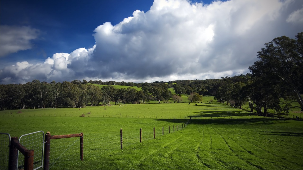 Green Hills Nature