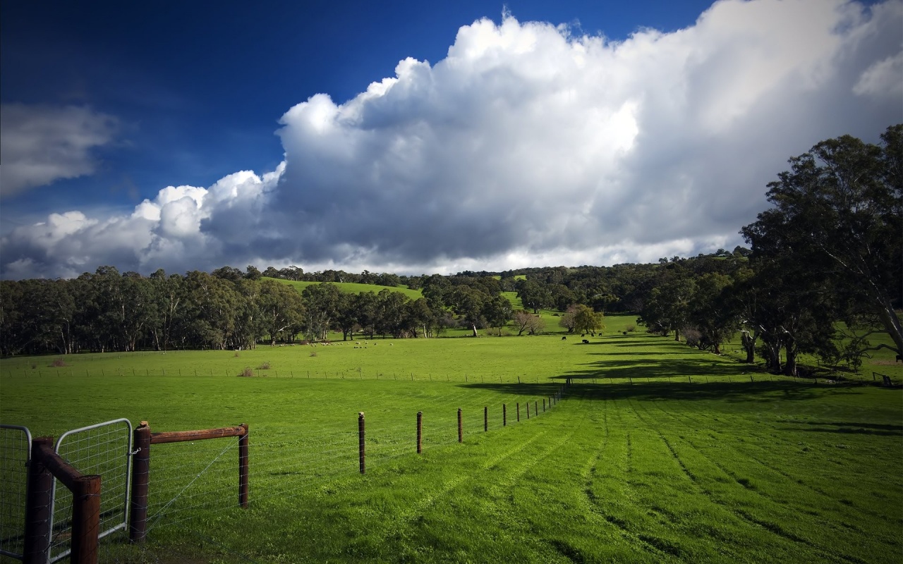 Green Hills Nature