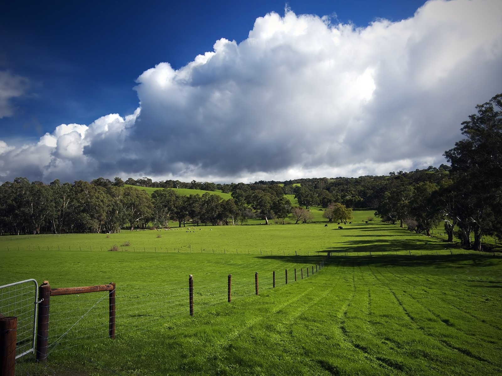 Green Hills Nature