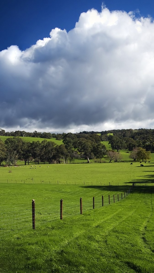 Green Hills Nature