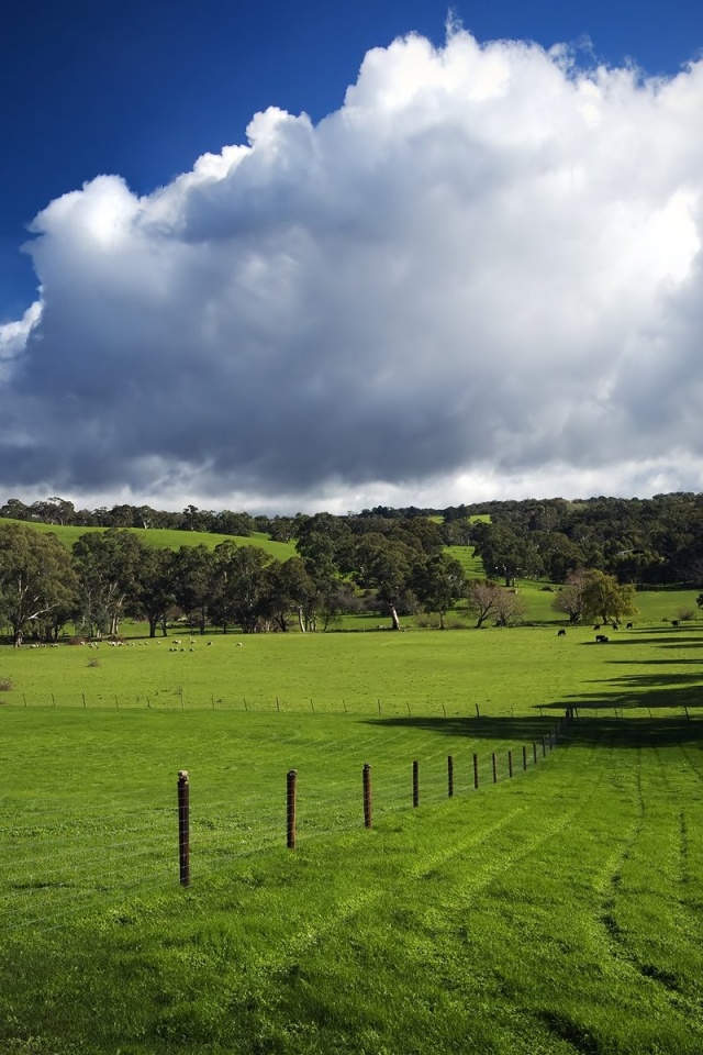 Green Hills Nature