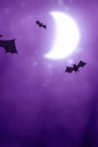 Halloween Bats