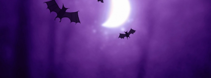 Halloween Bats