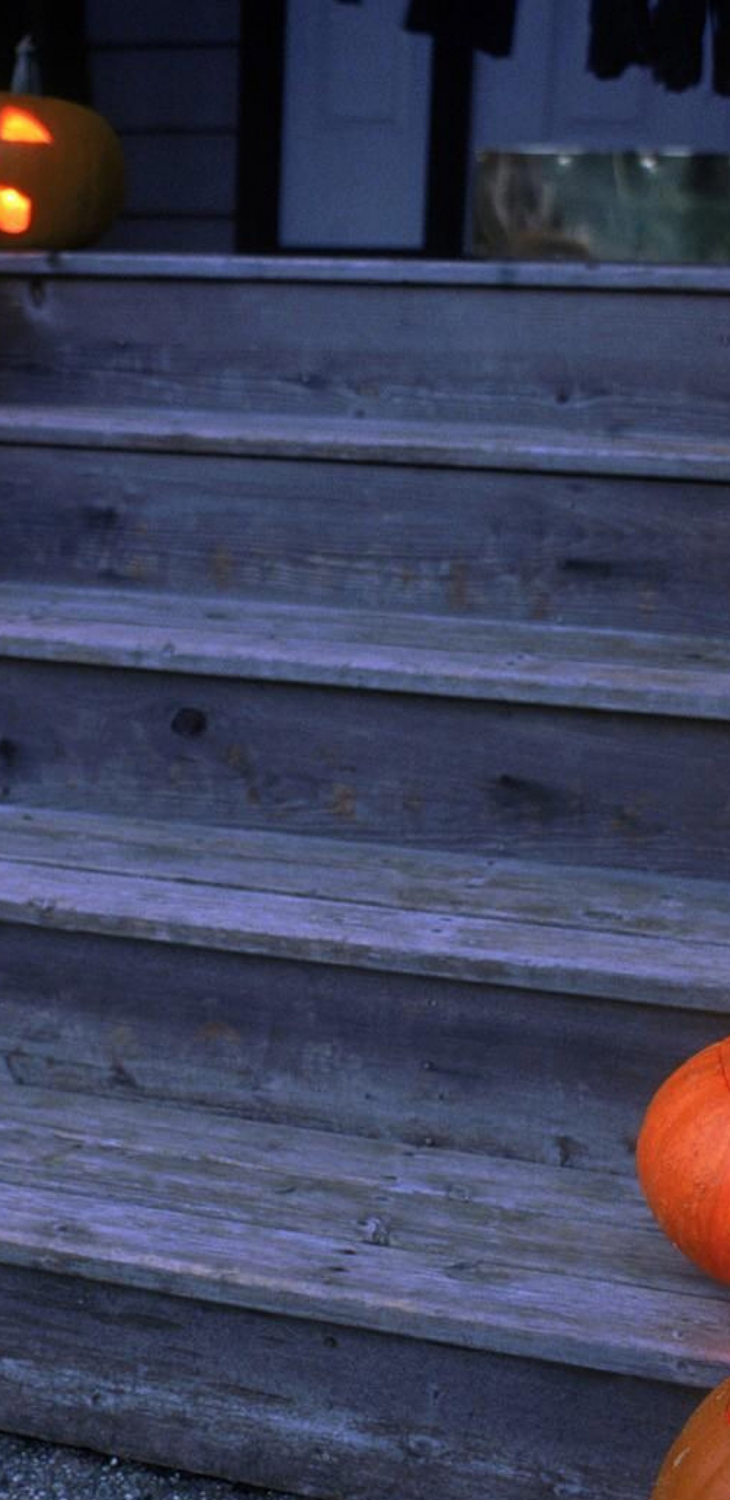 Halloween Pumpkins On Wooden Stairs