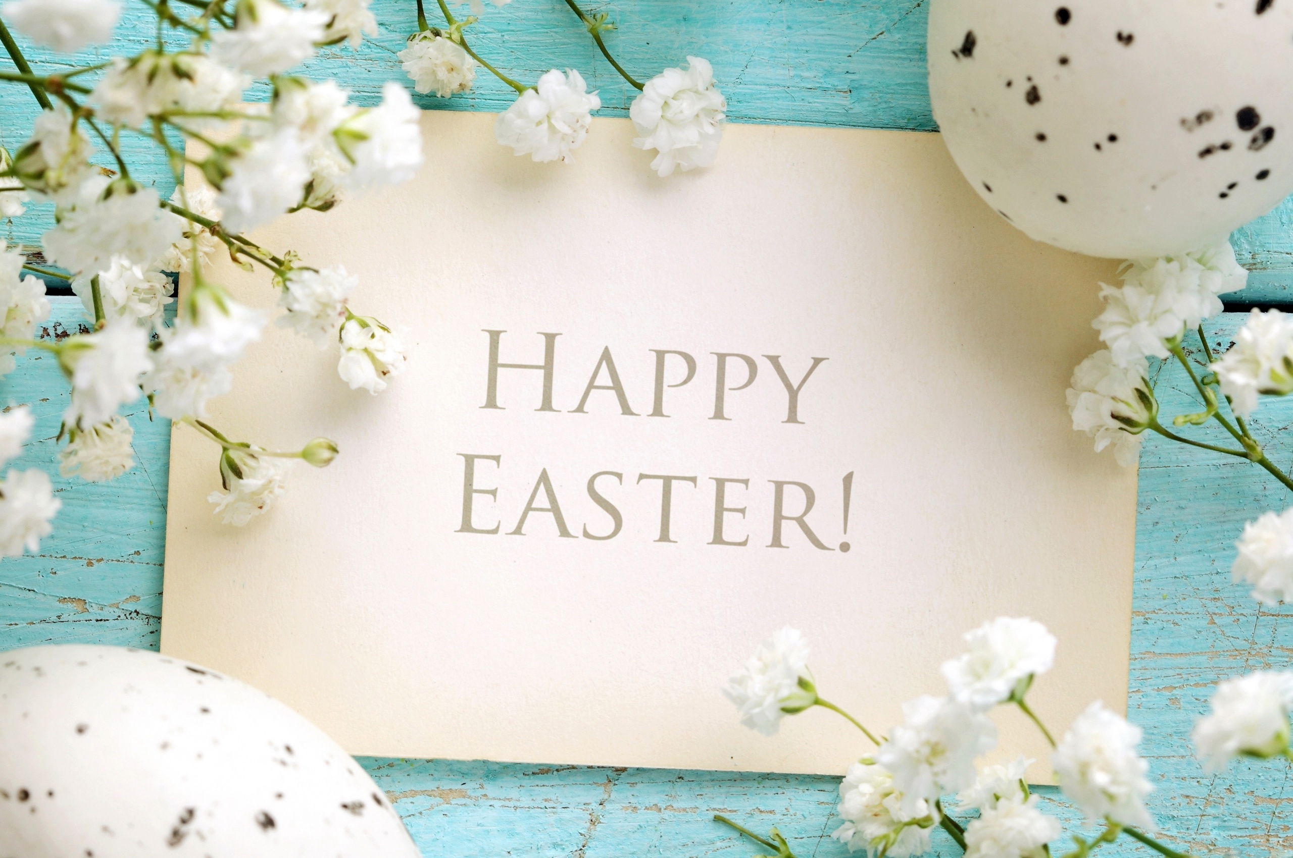 Happy Easter Greetings