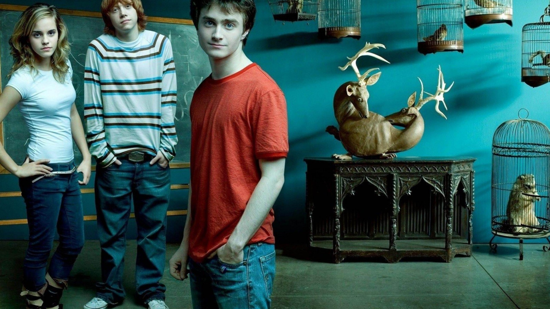 Harry Potter Emma Watson Rupert Grint Daniel Radcliffe