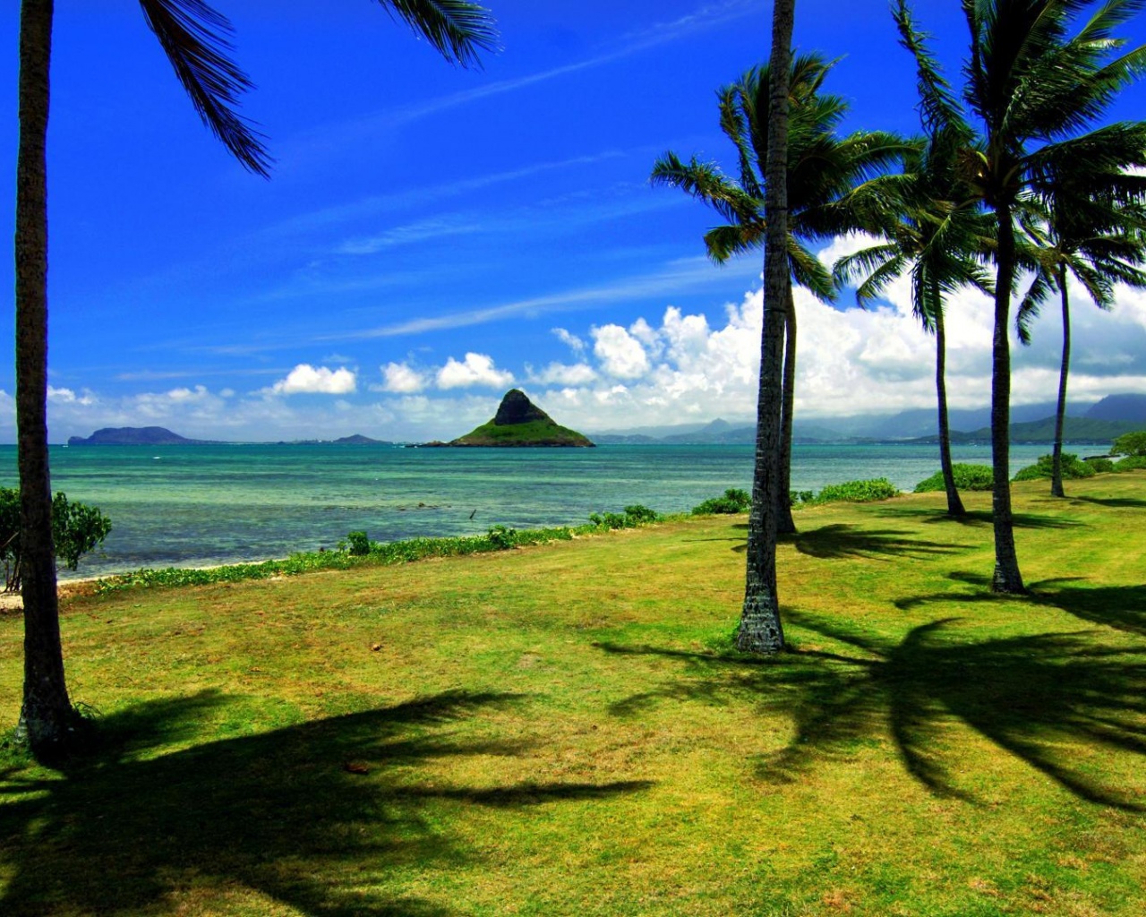 Hawaii Beach Nature1