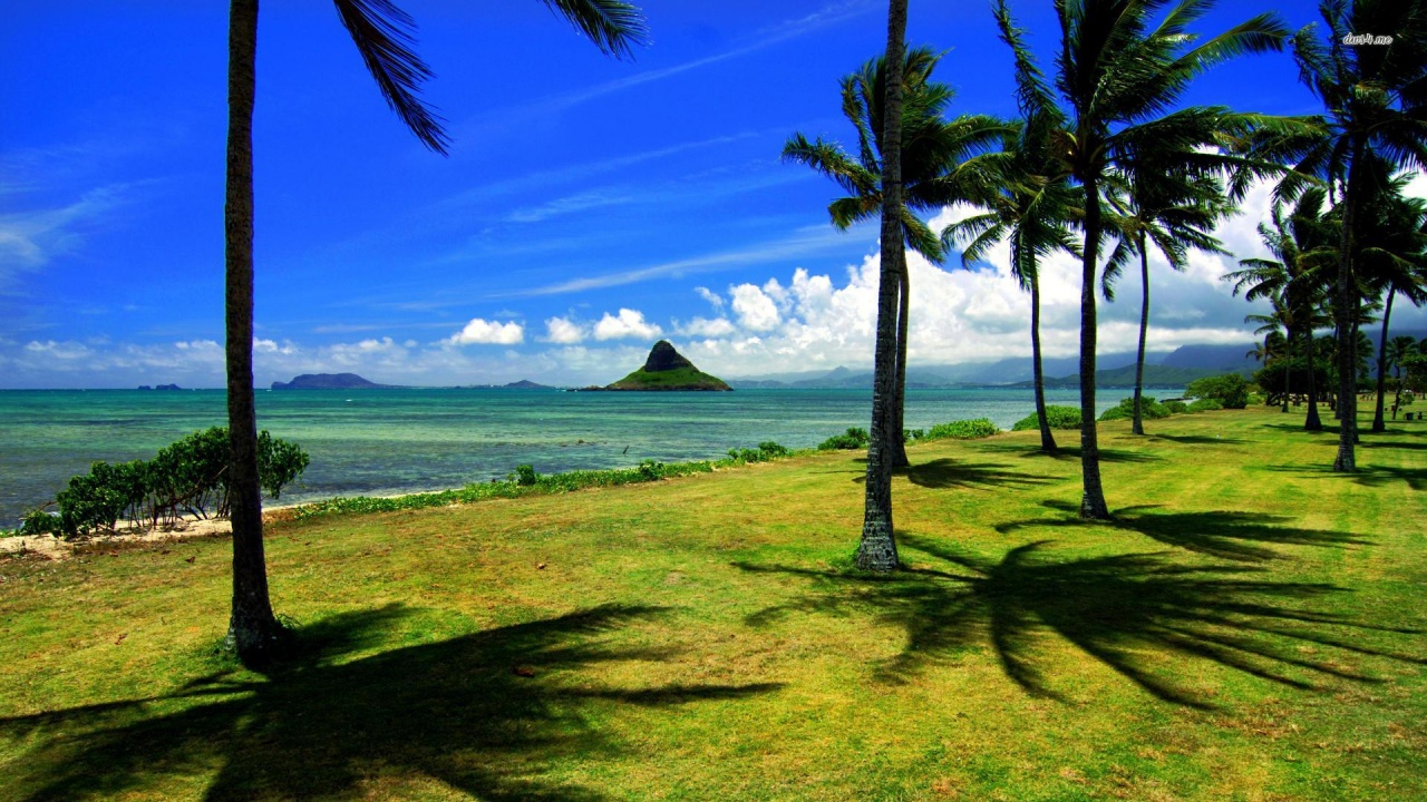 Hawaii Beach Nature1