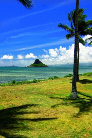 Hawaii Beach Nature1