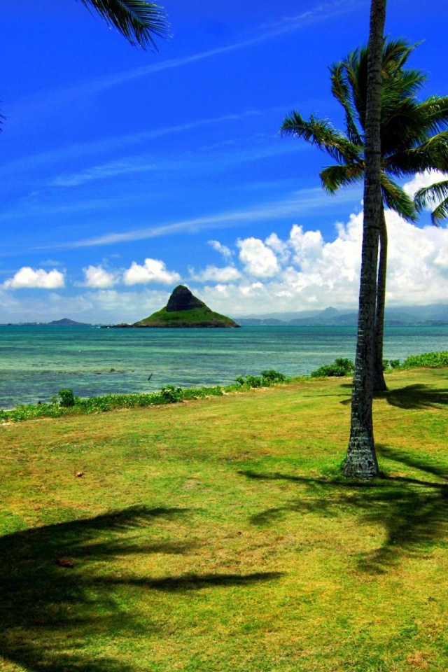 Hawaii Beach Nature1