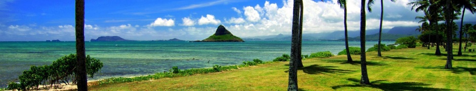 Hawaii Beach Nature1