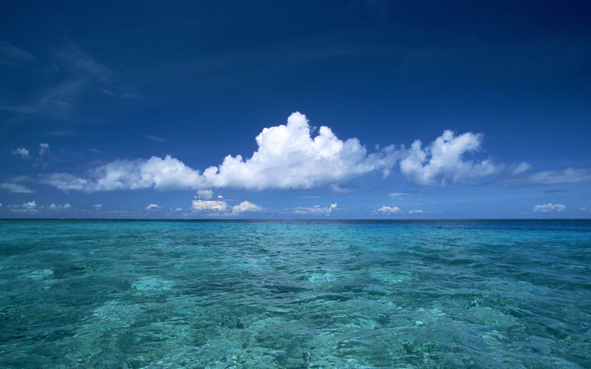 Hawaii Beach Sea Blue Sky Nature