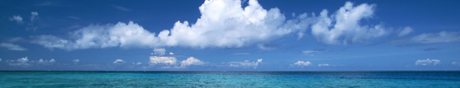 Hawaii Beach Sea Blue Sky Nature