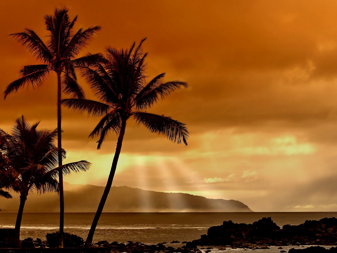 Hawaiian Sunset And Palm Trees