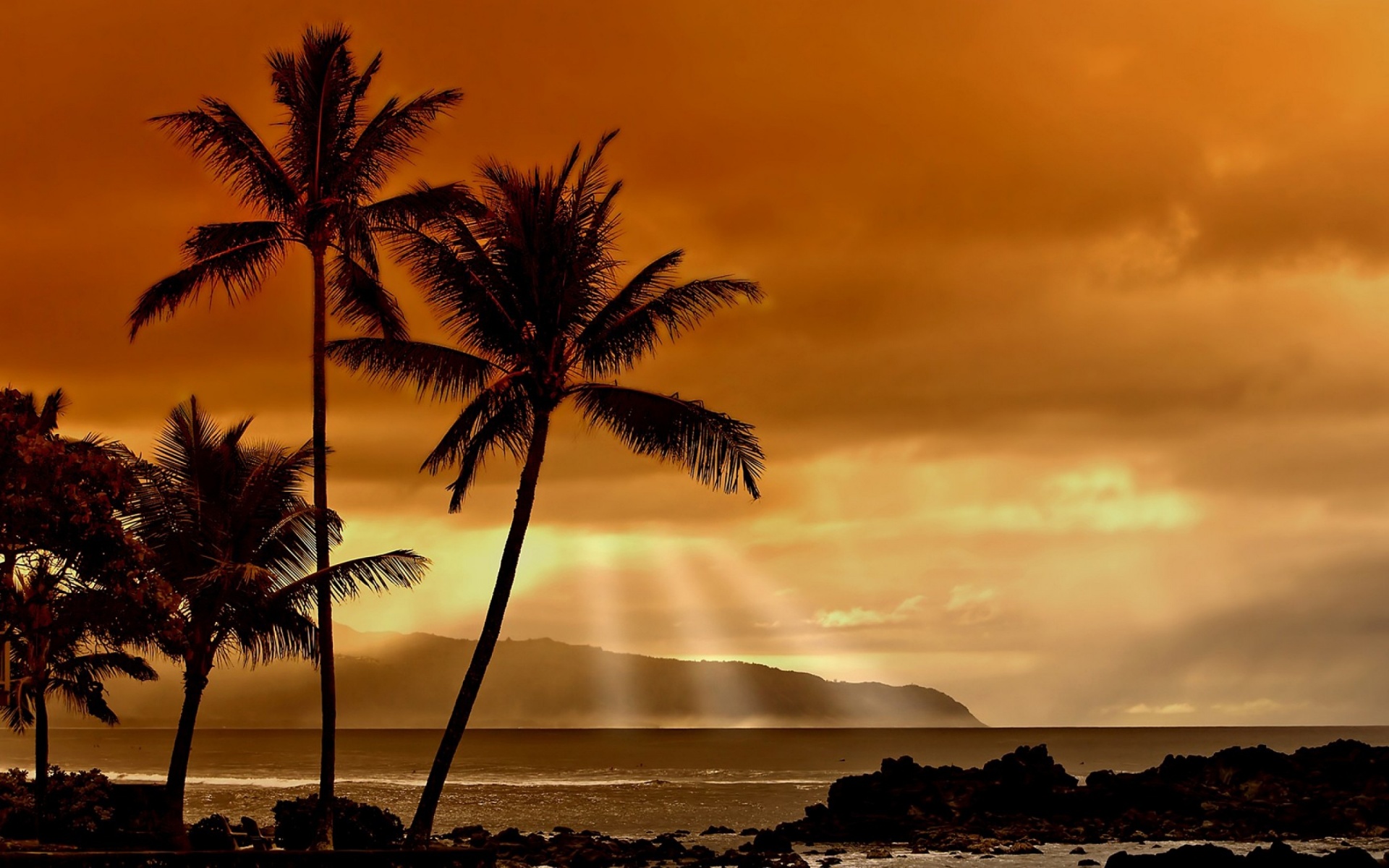 Hawaiian Sunset And Palm Trees