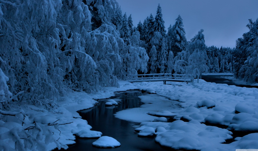 Heavy Snow Ice Winter