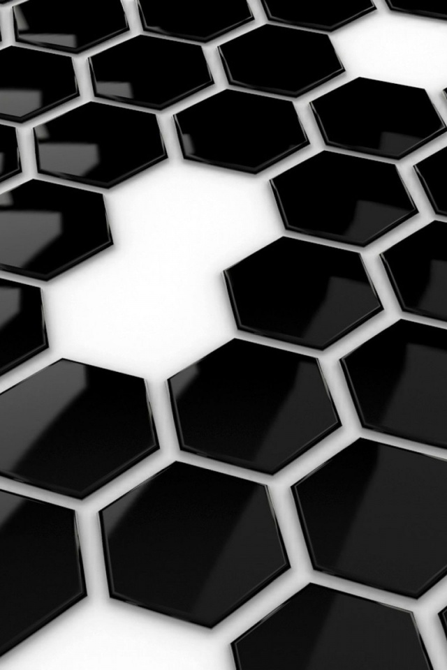 Hexagons Black White